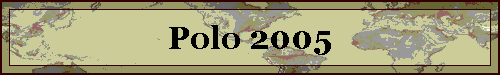 Polo 2005