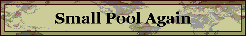 Small Pool Again