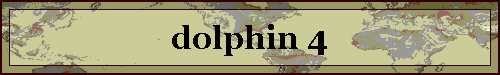 dolphin 4