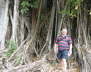 Another Banyan Tree