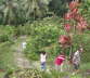 Botanical Gardens 2